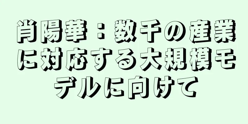 肖陽華：数千の産業に対応する大規模モデルに向けて