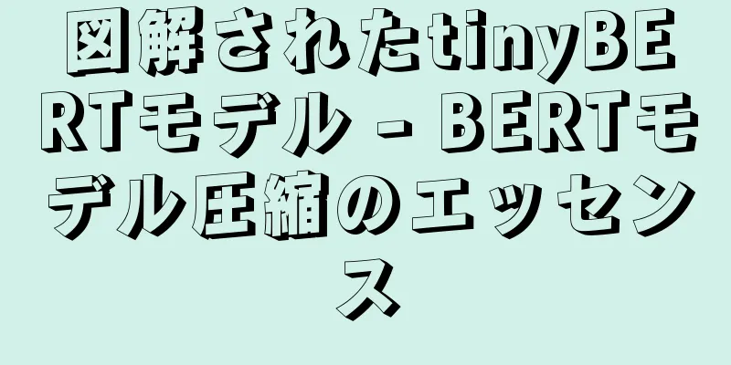 図解されたtinyBERTモデル - BERTモデル圧縮のエッセンス