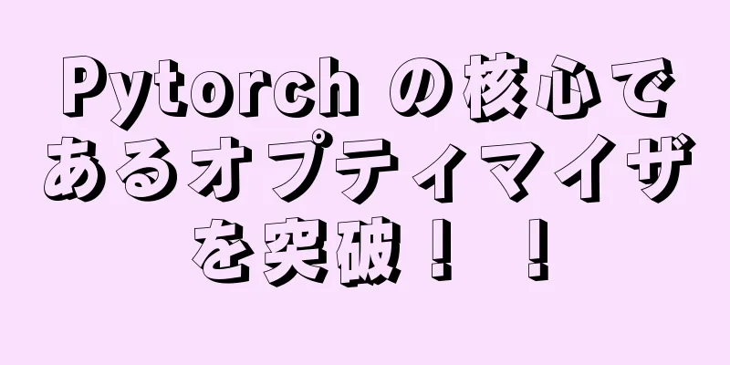 Pytorch の核心であるオプティマイザを突破！ ！