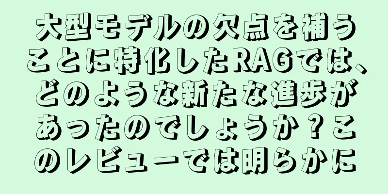 大型モデルの欠点を補うことに特化したRAGでは、どのような新たな進歩があったのでしょうか？このレビューでは明らかに