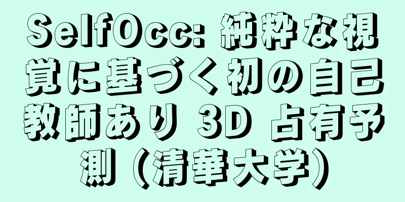 SelfOcc: 純粋な視覚に基づく初の自己教師あり 3D 占有予測 (清華大学)