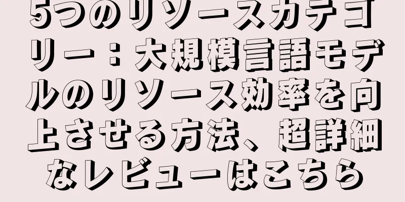 5つのリソースカテゴリー：大規模言語モデルのリソース効率を向上させる方法、超詳細なレビューはこちら