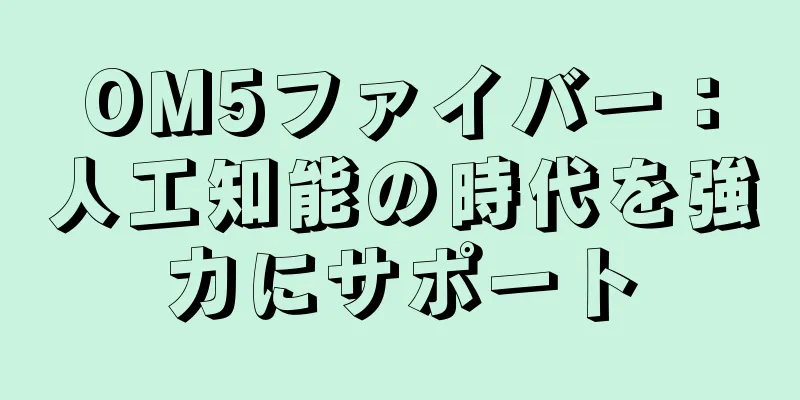 OM5ファイバー：人工知能の時代を強力にサポート