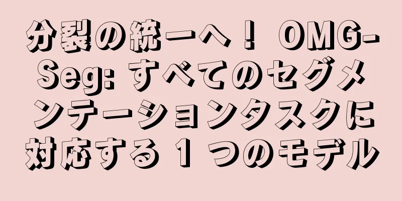 分裂の統一へ！ OMG-Seg: すべてのセグメンテーションタスクに対応する 1 つのモデル