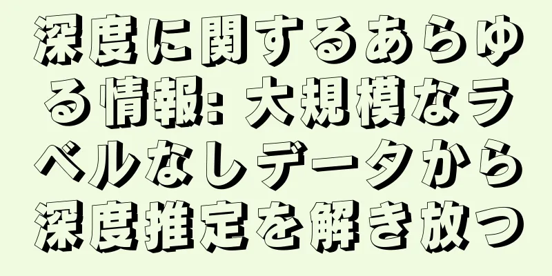 深度に関するあらゆる情報: 大規模なラベルなしデータから深度推定を解き放つ