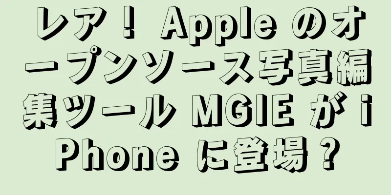 レア！ Apple のオープンソース写真編集ツール MGIE が iPhone に登場？
