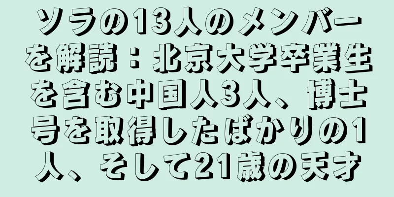 ソラの13人のメンバーを解読：北京大学卒業生を含む中国人3人、博士号を取得したばかりの1人、そして21歳の天才