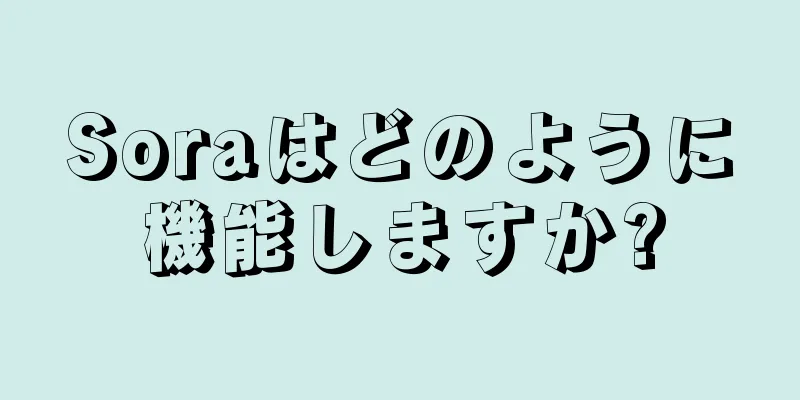 Soraはどのように機能しますか?
