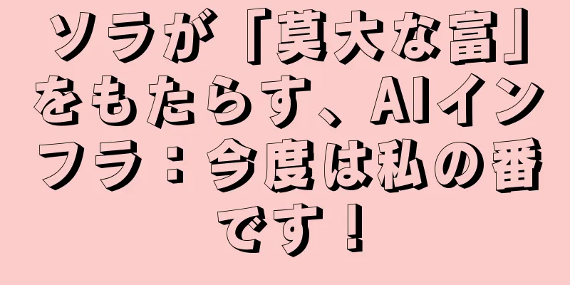 ソラが「莫大な富」をもたらす、AIインフラ：今度は私の番です！