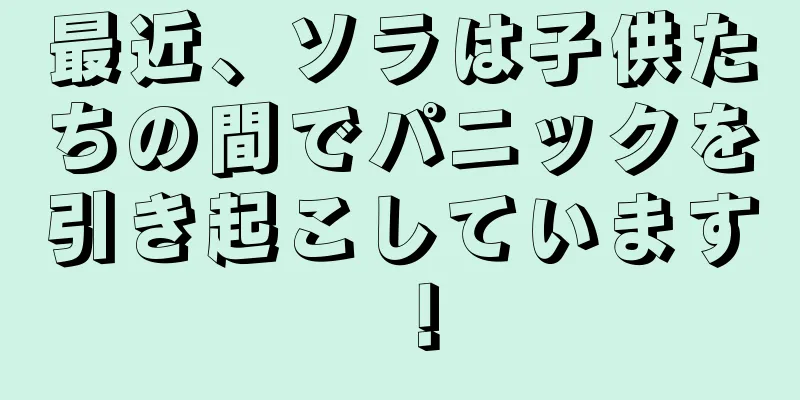 最近、ソラは子供たちの間でパニックを引き起こしています！