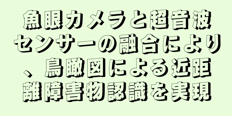 魚眼カメラと超音波センサーの融合により、鳥瞰図による近距離障害物認識を実現