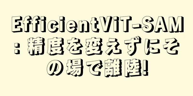 EfficientViT-SAM: 精度を変えずにその場で離陸!