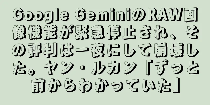 Google GeminiのRAW画像機能が緊急停止され、その評判は一夜にして崩壊した。ヤン・ルカン「ずっと前からわかっていた」