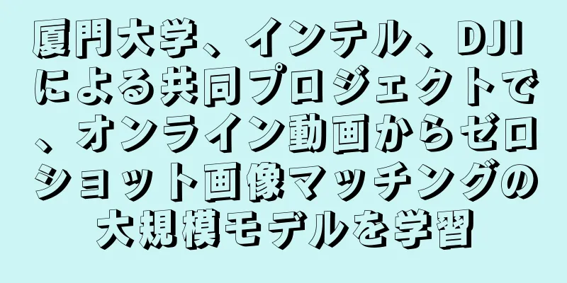 厦門大学、インテル、DJI による共同プロジェクトで、オンライン動画からゼロショット画像マッチングの大規模モデルを学習