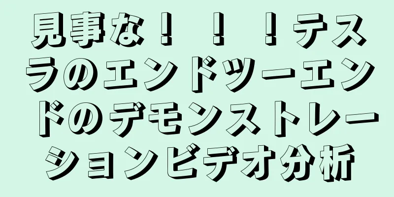 見事な！ ！ ！テスラのエンドツーエンドのデモンストレーションビデオ分析