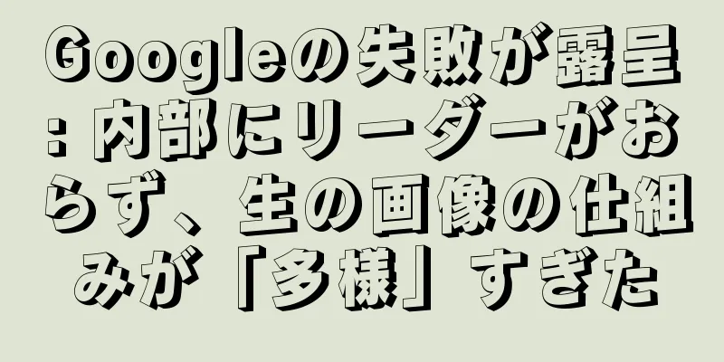 Googleの失敗が露呈: 内部にリーダーがおらず、生の画像の仕組みが「多様」すぎた